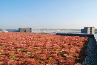 1,100 m² of Sedum vegetation with Fixodrain® XD 20 adorn the office and administration building of the German Air Rescue Service at Stuttgart Airport in Germany. Large green roof area with sedum